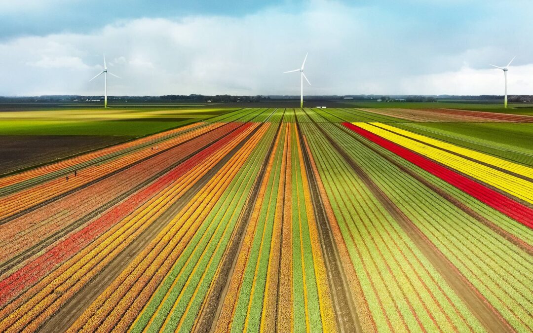 La Commissione europea vuole aumentare la produzione nell’Unione di materie prime necessarie per le rinnovabili