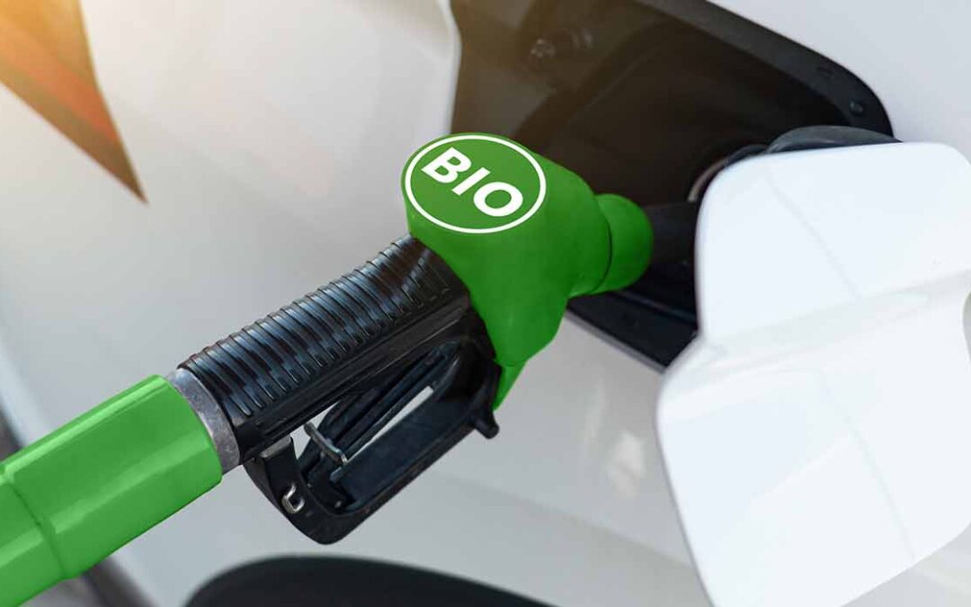 Eni: al via programma per uso bio-carburante da materie prime 100% rinnovabili