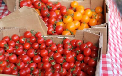 Unione Italiana Food : En 2023, les exportations ont dépassé les 21 milliards d’euros